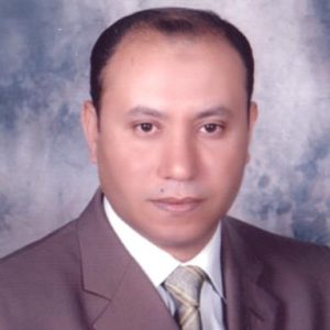 Profile photo of Mohamed ElBorhamy