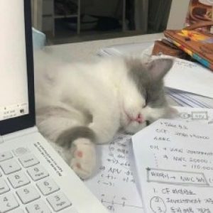 Profile photo of 1231179